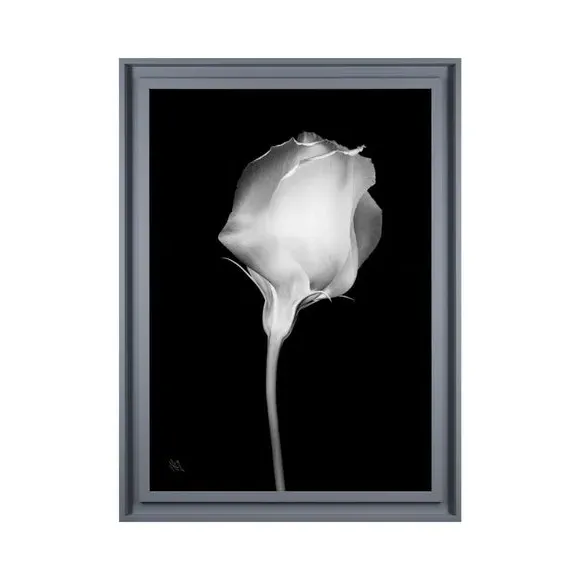 Mono Floral Framed Print - Black/White alternate view