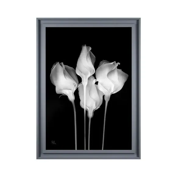 Framed Print Mono Floral - Black/White alternate view