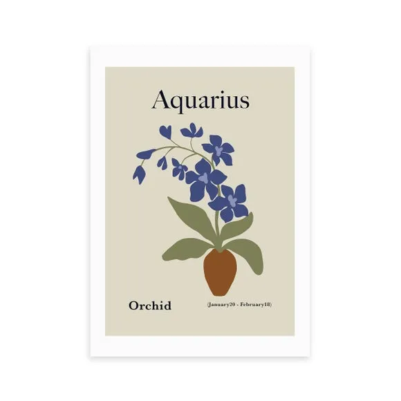 Miho Art Studio Aquarius Wall Art Print - Sage Green alternate view