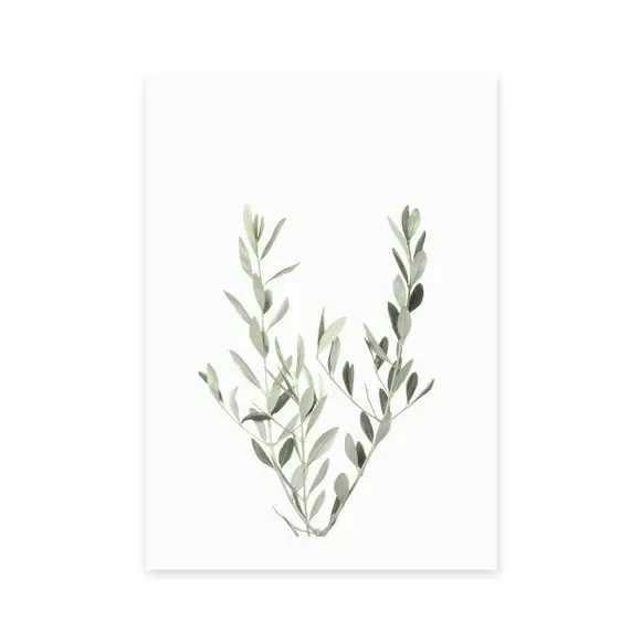 Botanical Wall Print - Olive Branch - Green alternate view