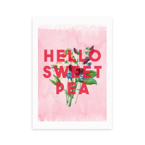 Hello Sweet Pea Art Print - Pink alternate view