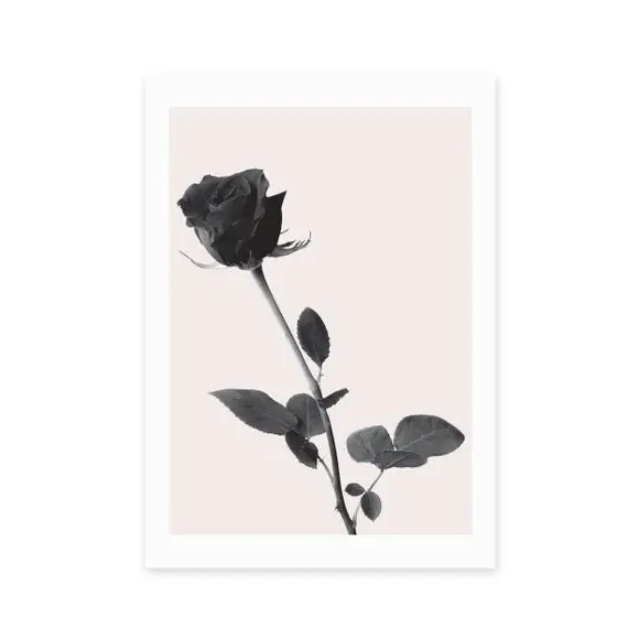 Rose Wall Print - Black, Archival Paper alternate view