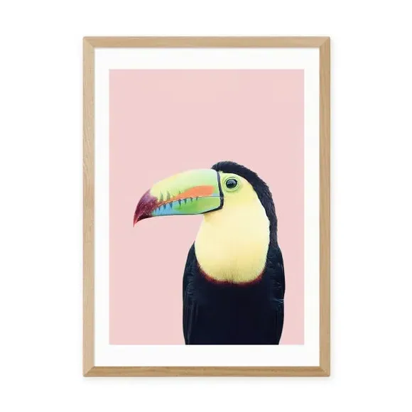 Toucan Wall Print - Multicolor, Paper by Dunelm, image 2