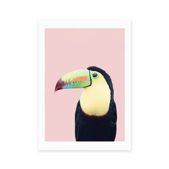 Toucan Wall Print - Multicolor, Paper alternate view
