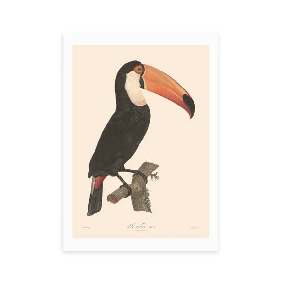 Toucan Wall Print - Natural, Archival Paper alternate view