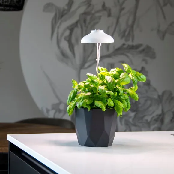 Plant Grow Lamp Height Adjustable - White product