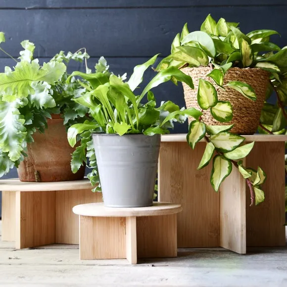 Plant Stand with Storage - Natural, Bamboo alternate view