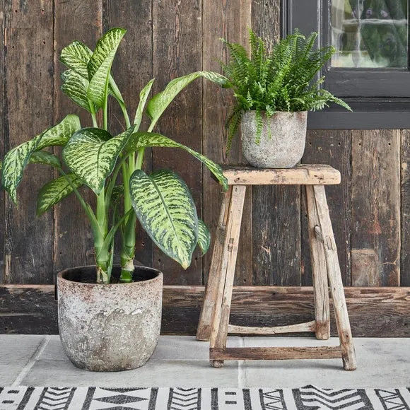 Textured Plant Pot - Natural, Ceramic alternate view