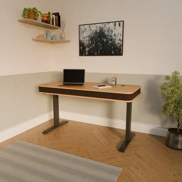 Elin Height Adjustable Desk with LED Panel & USB Ports product