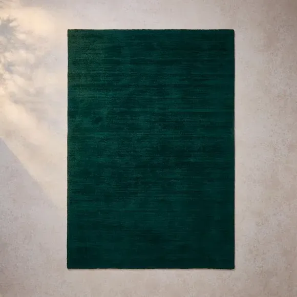 Werner's Nomenclature Wool Loop Rug - Blackish Green