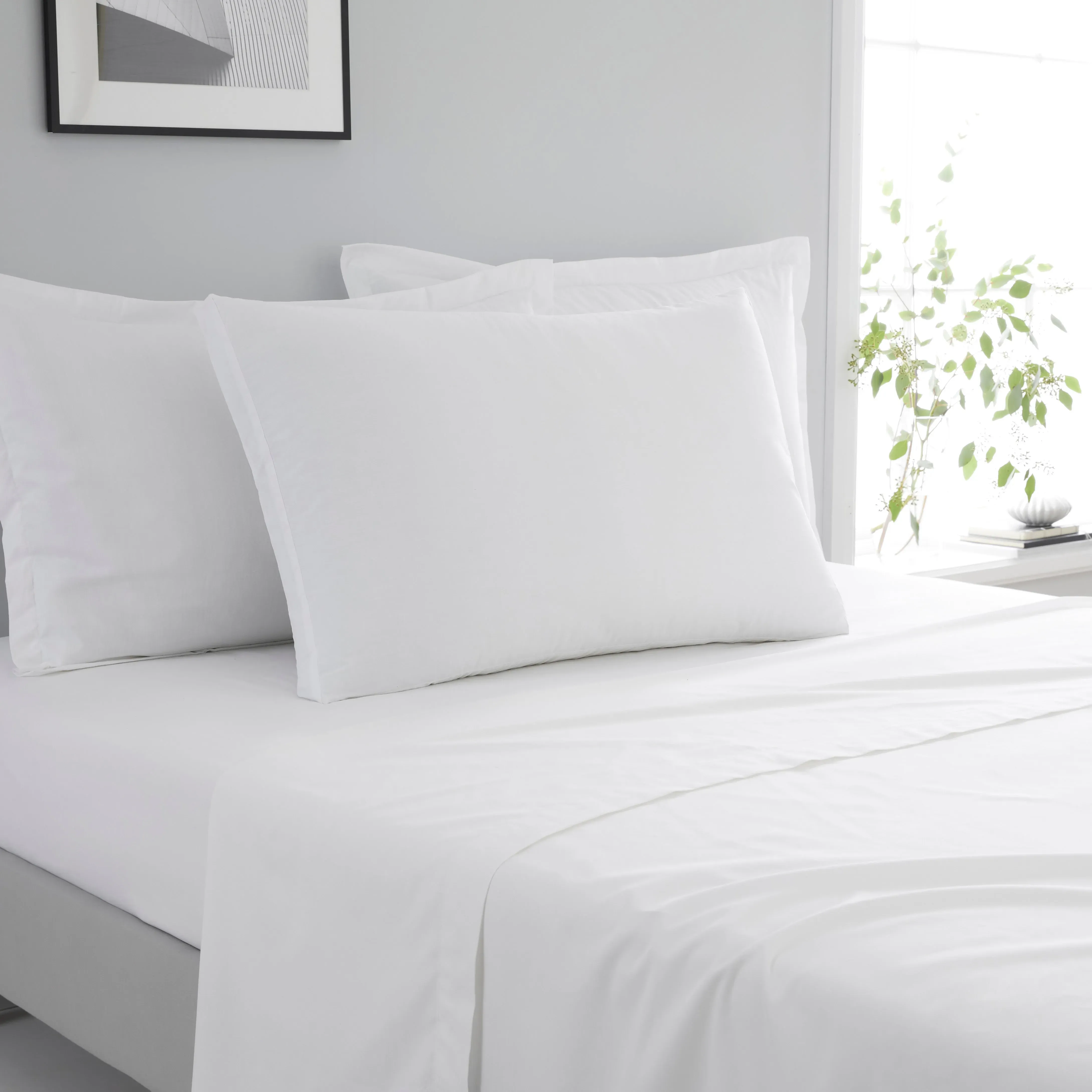 pure-cotton-box-pillowcase-white image