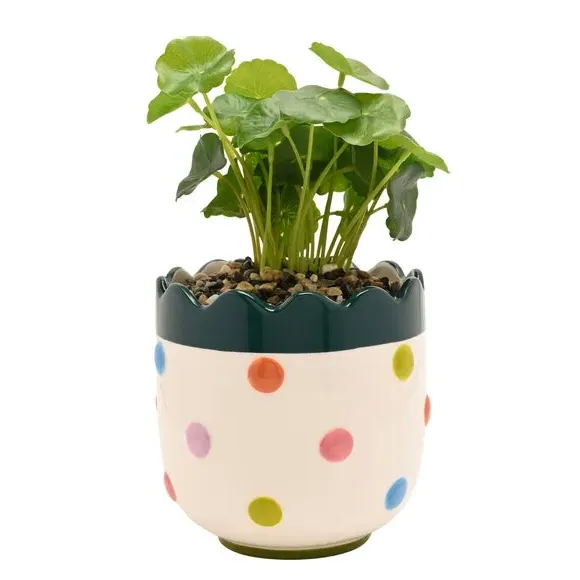 Artificial Bobble Plant Pot - Multicolor, Ceramic alternate view