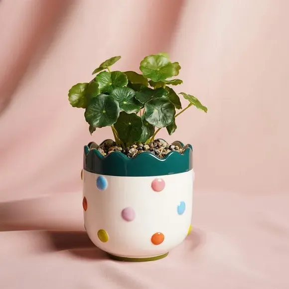 Artificial Bobble Plant Pot - Multicolor, Ceramic product