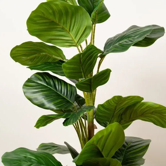 Artificial Arrowroot Plant - Green, Real Touch alternate view