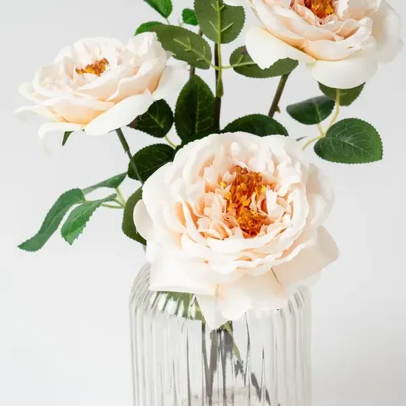 Blush Pink Rose Arrangement in Ribbed Glass Vase alternate view