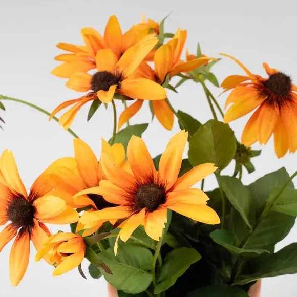 Artificial Rudbeckia Plant - Orange, Terracotta alternate view