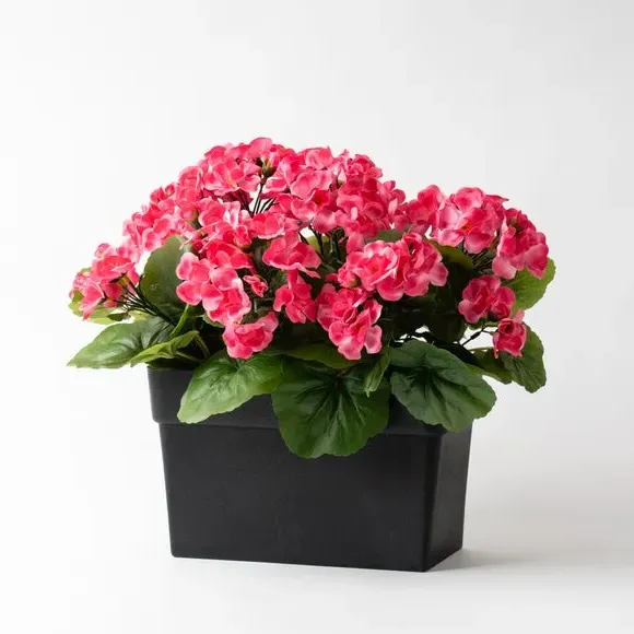 Scottish Everlastings Artificial Geranium Trough - Pink alternate view