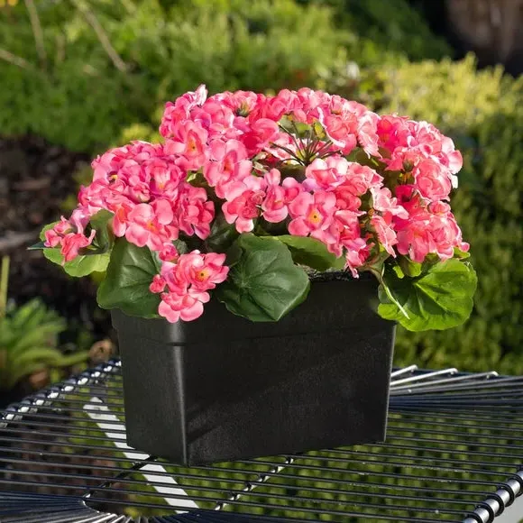 Scottish Everlastings Artificial Geranium Trough - Pink product