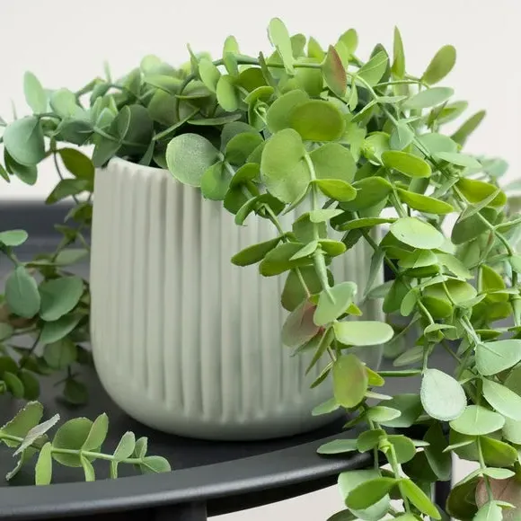 Trailing Eucalyptus Plant - Green, Artificial alternate view