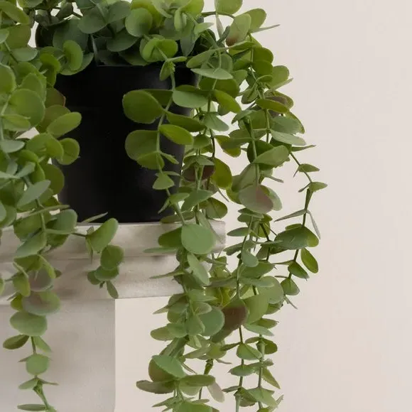 Trailing Eucalyptus Plant - Green, Artificial by Dunelm, image 3