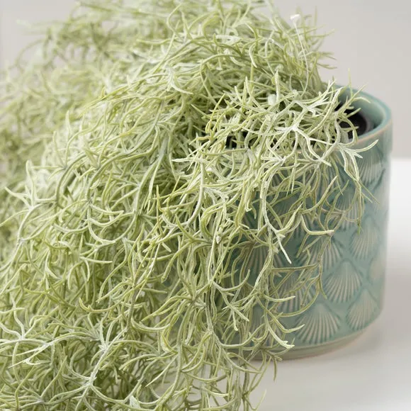 Trailing Spanish Moss Plant - Green, Artificial alternate view