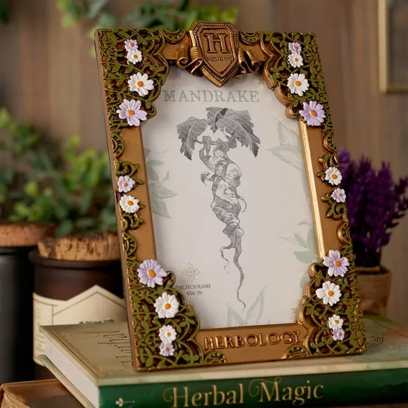 Harry Potter Herbology Photo Frame - Gold product