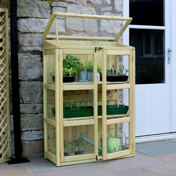 Compact Botanical Greenhouse - Natural, Softwood alternate view