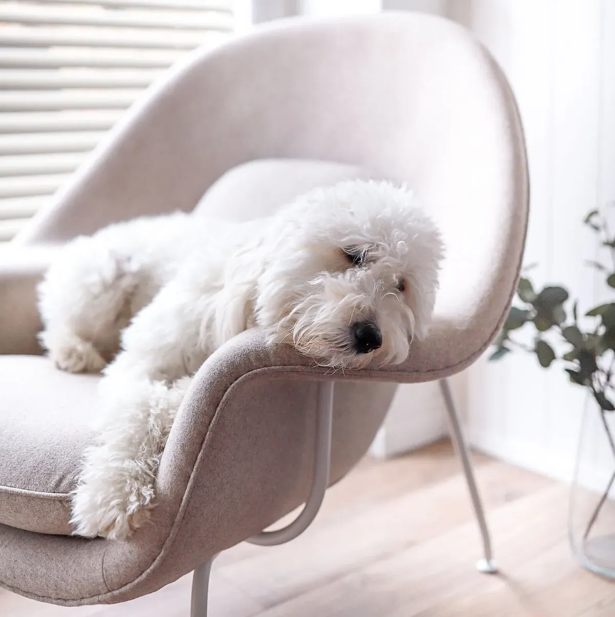 Womb Chair & Ottoman - Wheat Grey, Cashmere Fabric product