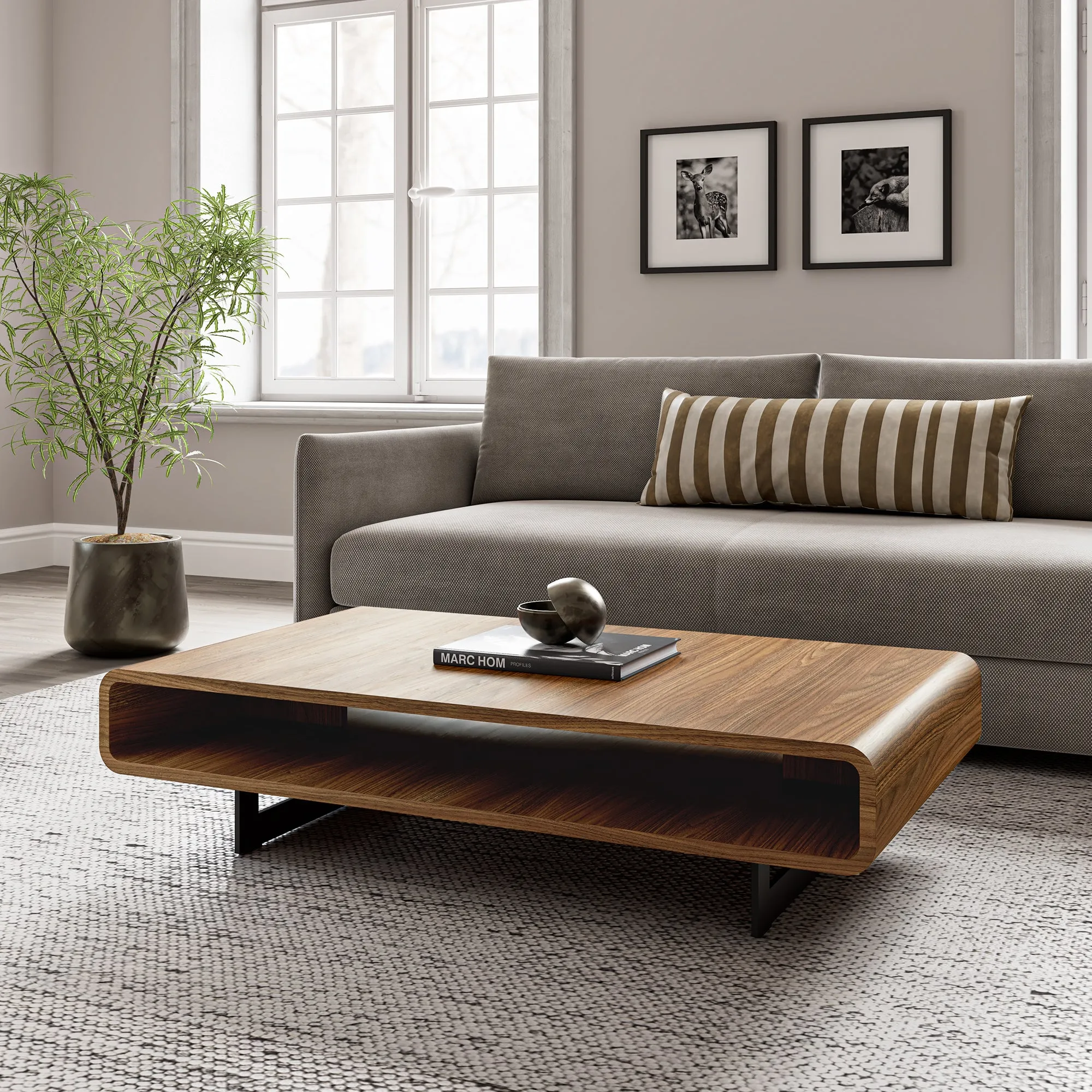 47" Rounded Rectangular Coffee Table - Walnut