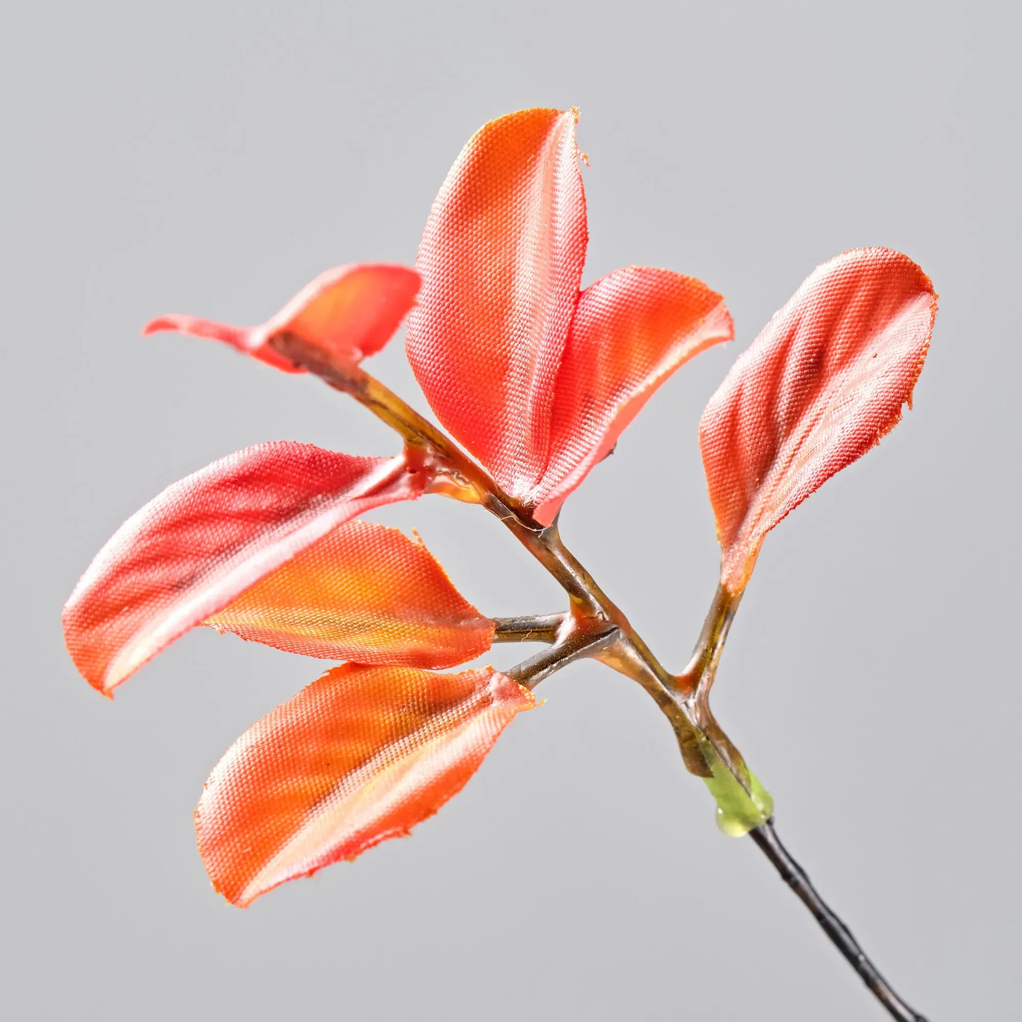 ALD-01 Fall Ficus Branches