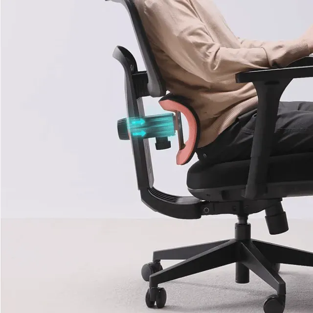 Cyra Ergonomic Office Chair