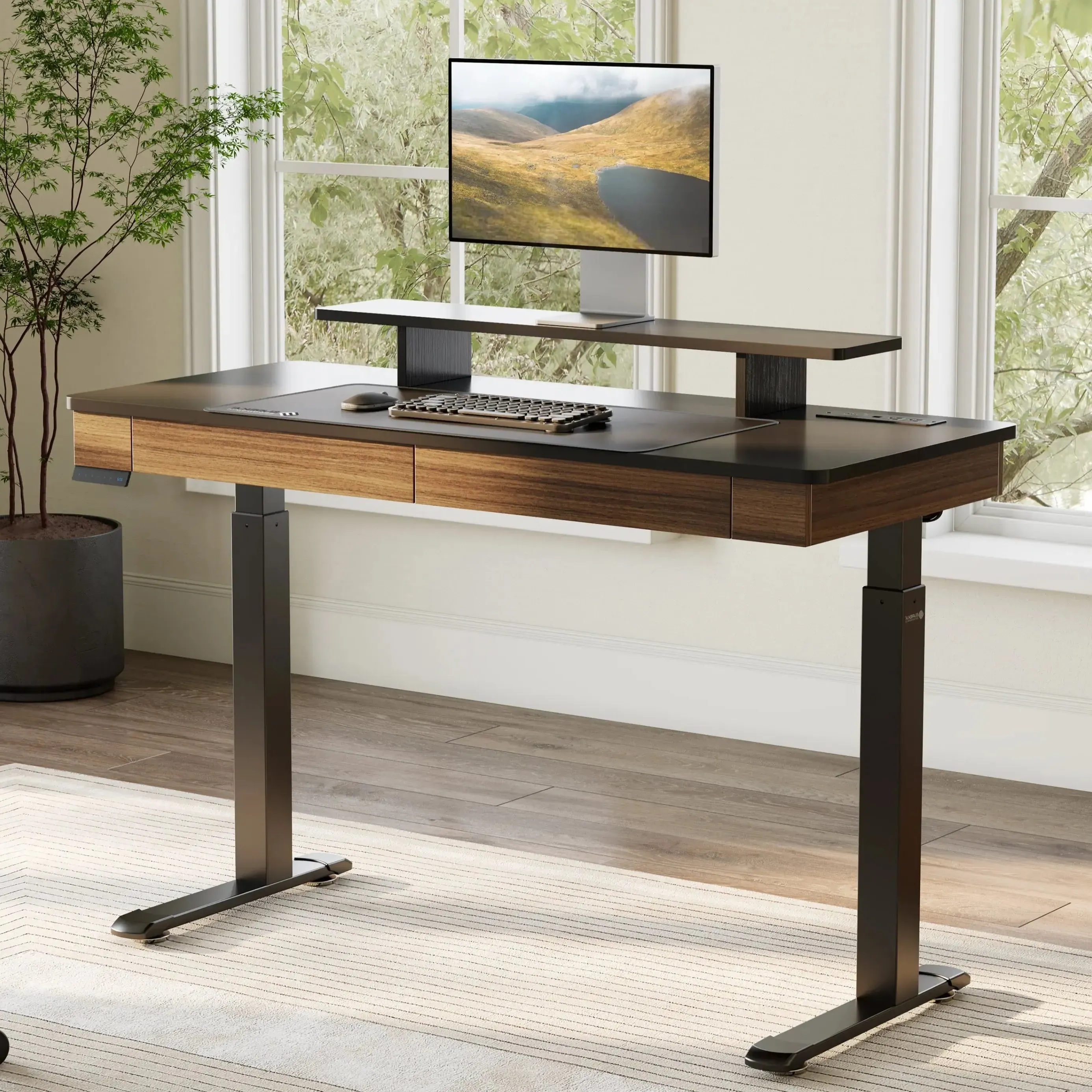 Electric Standing Desk with Drawers - Black, Walnut