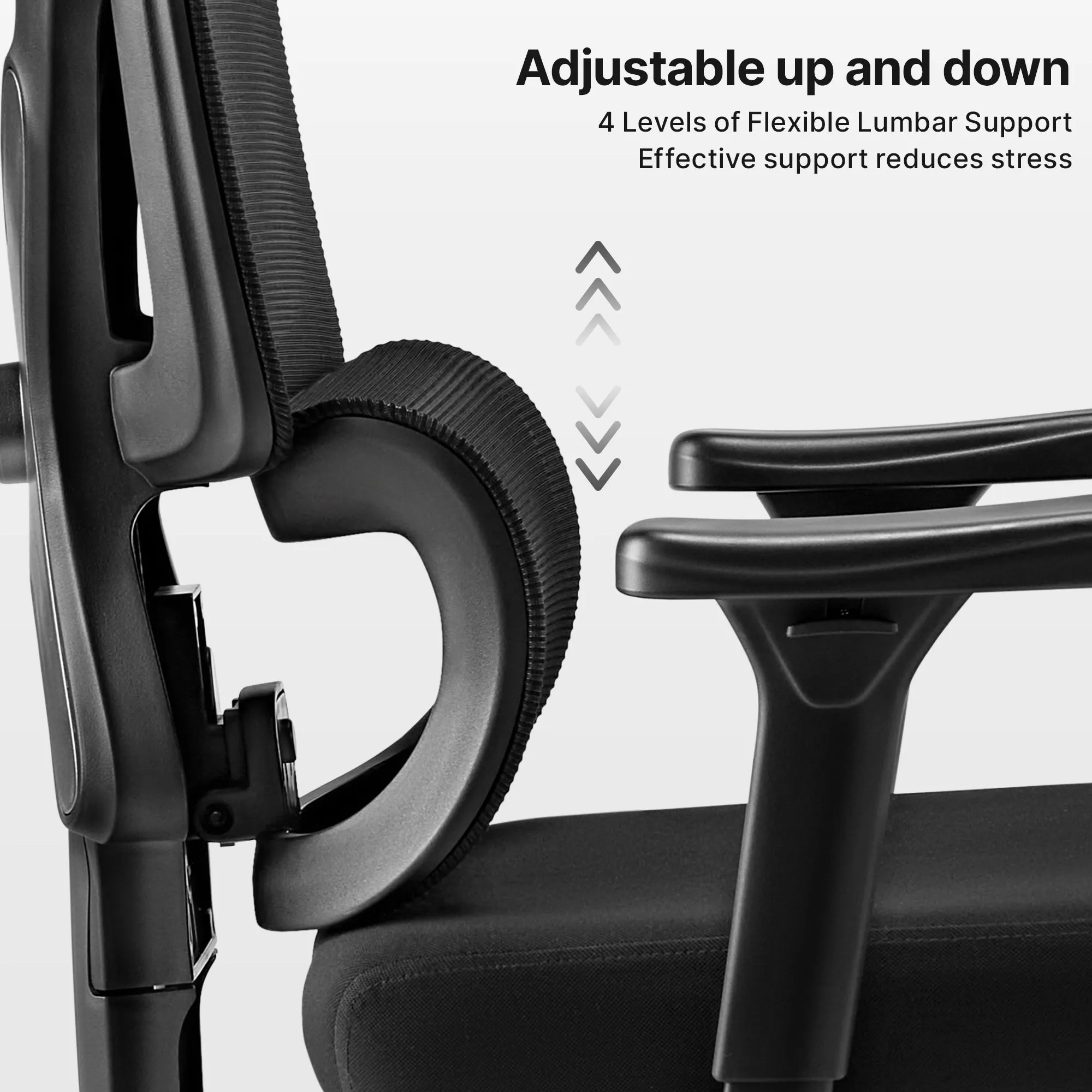 Exis Ergonomic Office Chair with Lumbar Support