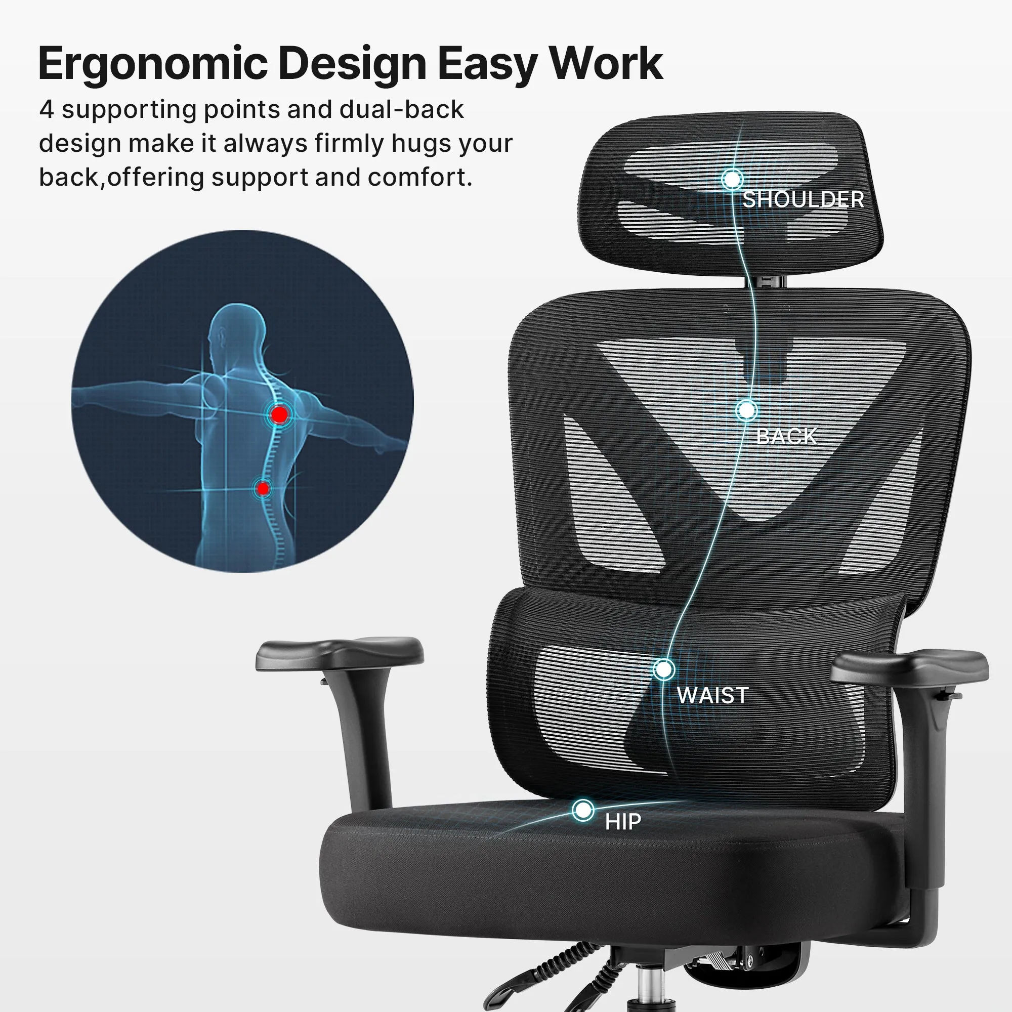 Exis Ergonomic Office Chair with Lumbar Support