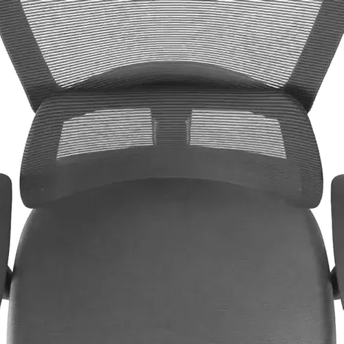 Lark Adjustable Lumbar Ergonomic Office Chair