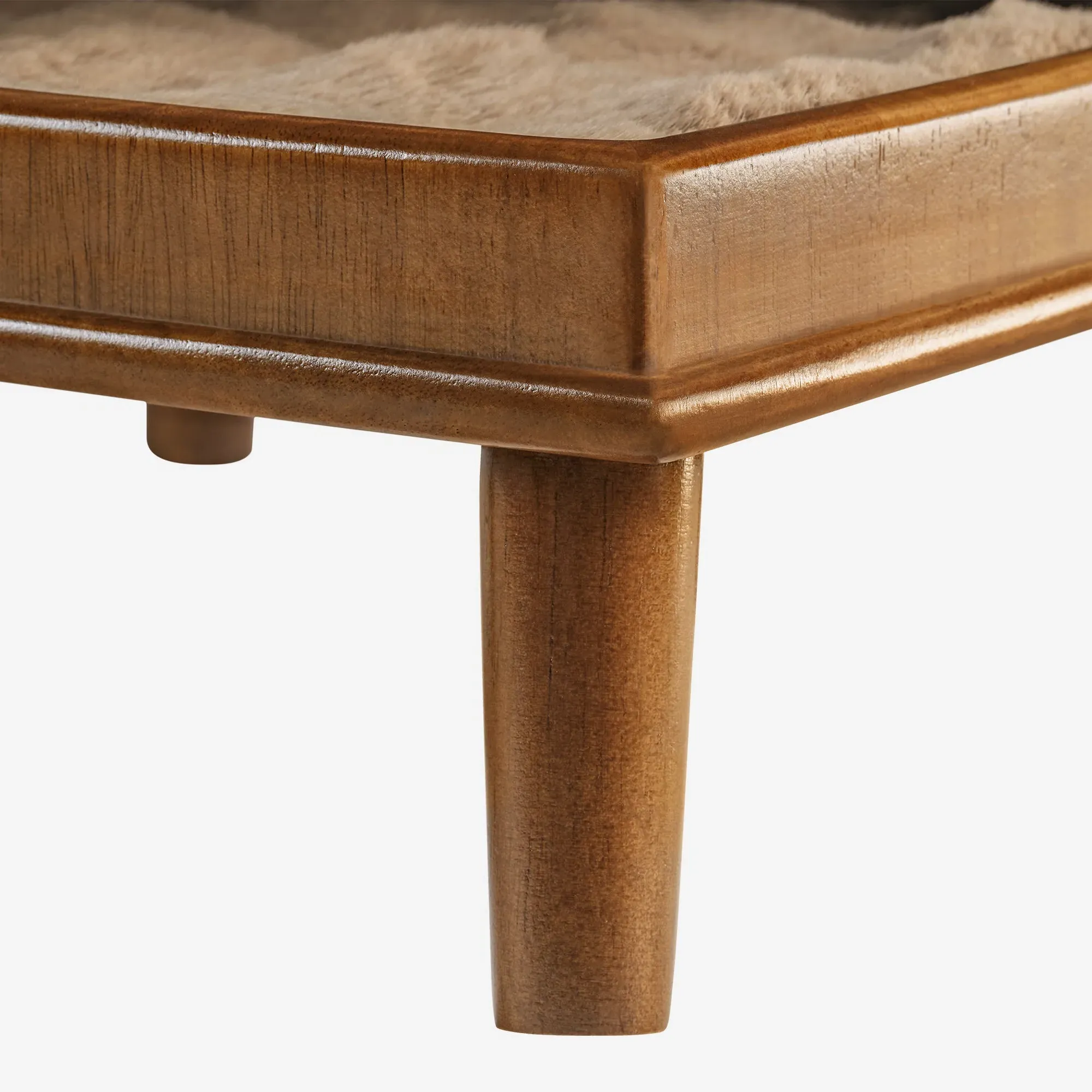 Multi-Functional Cat Bed & Side Table