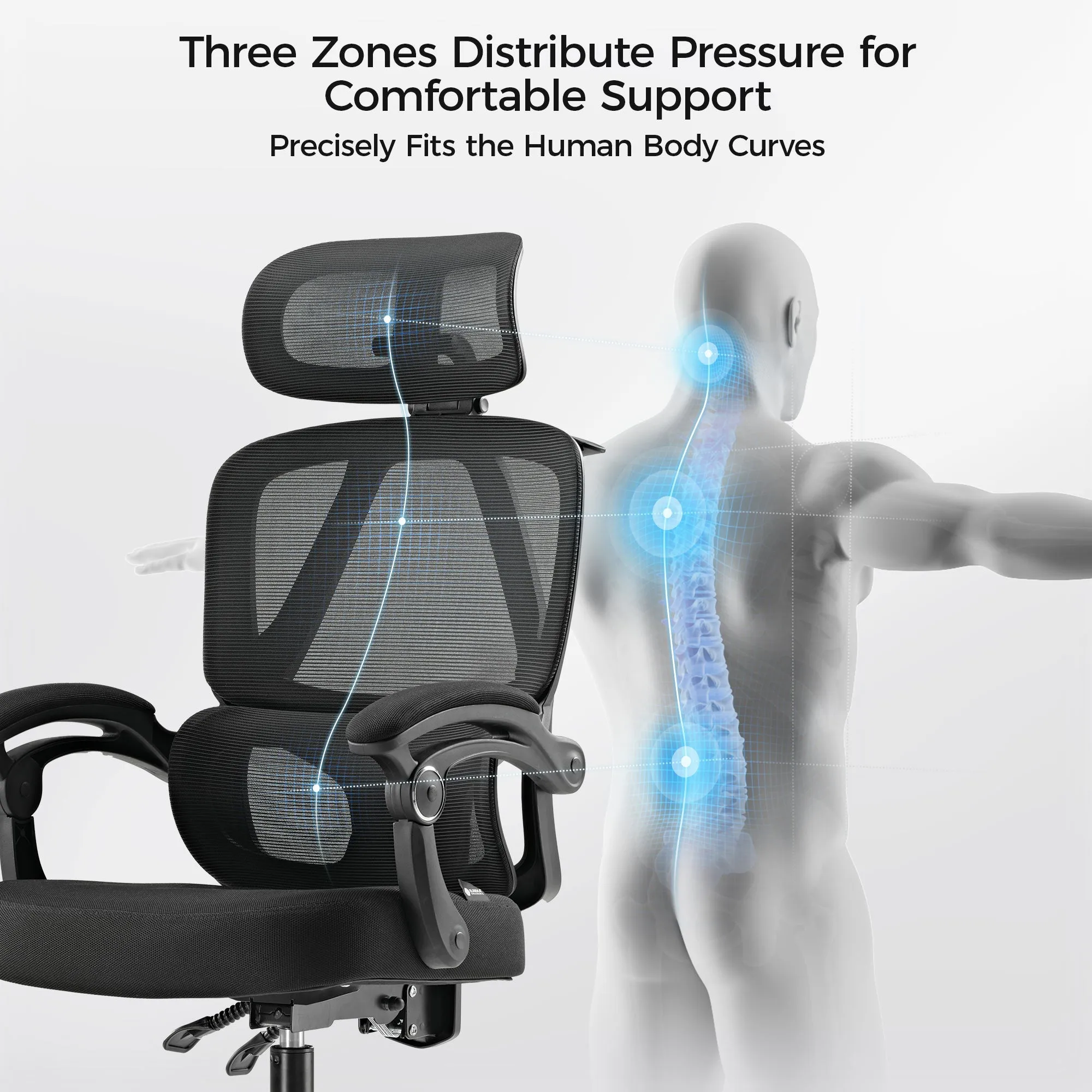 Nero Ergonomic Office Chair with Lumbar Support