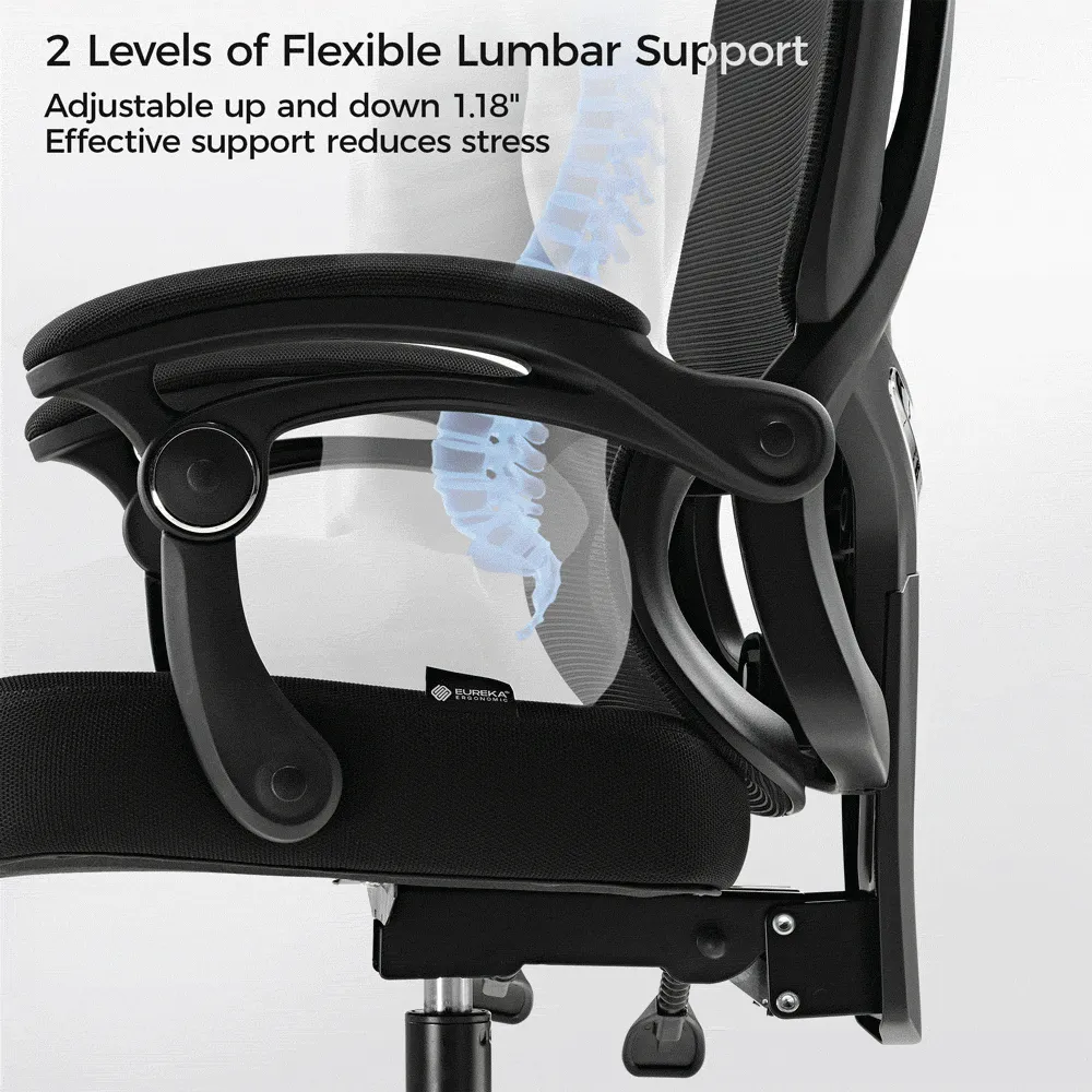 Nero Ergonomic Office Chair with Lumbar Support
