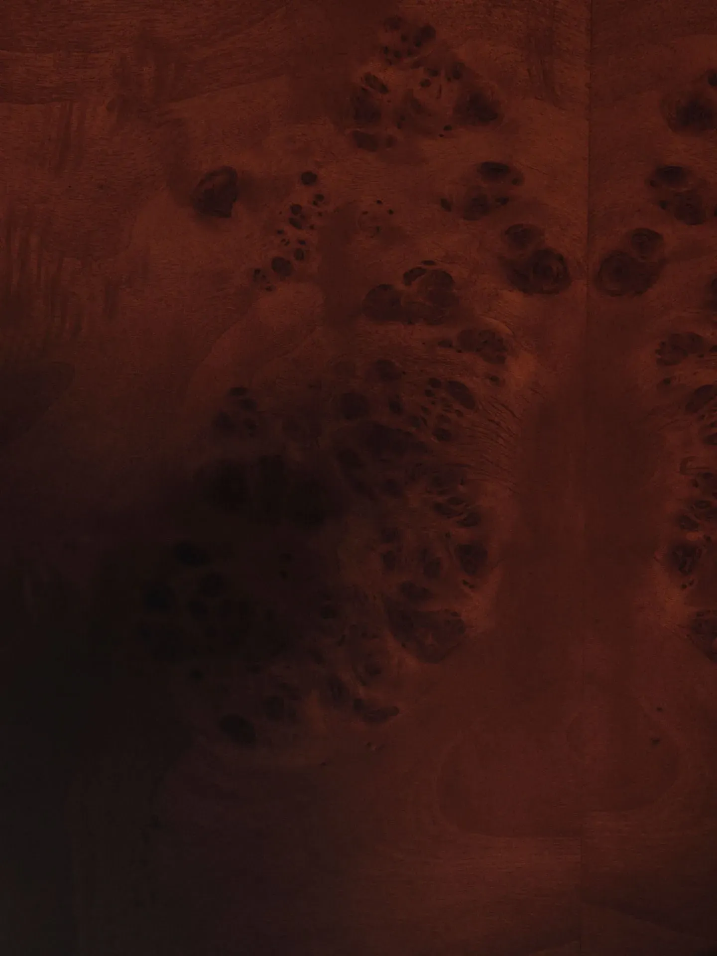 Burl Square Storage Coffee Table - Dark Stained Burl