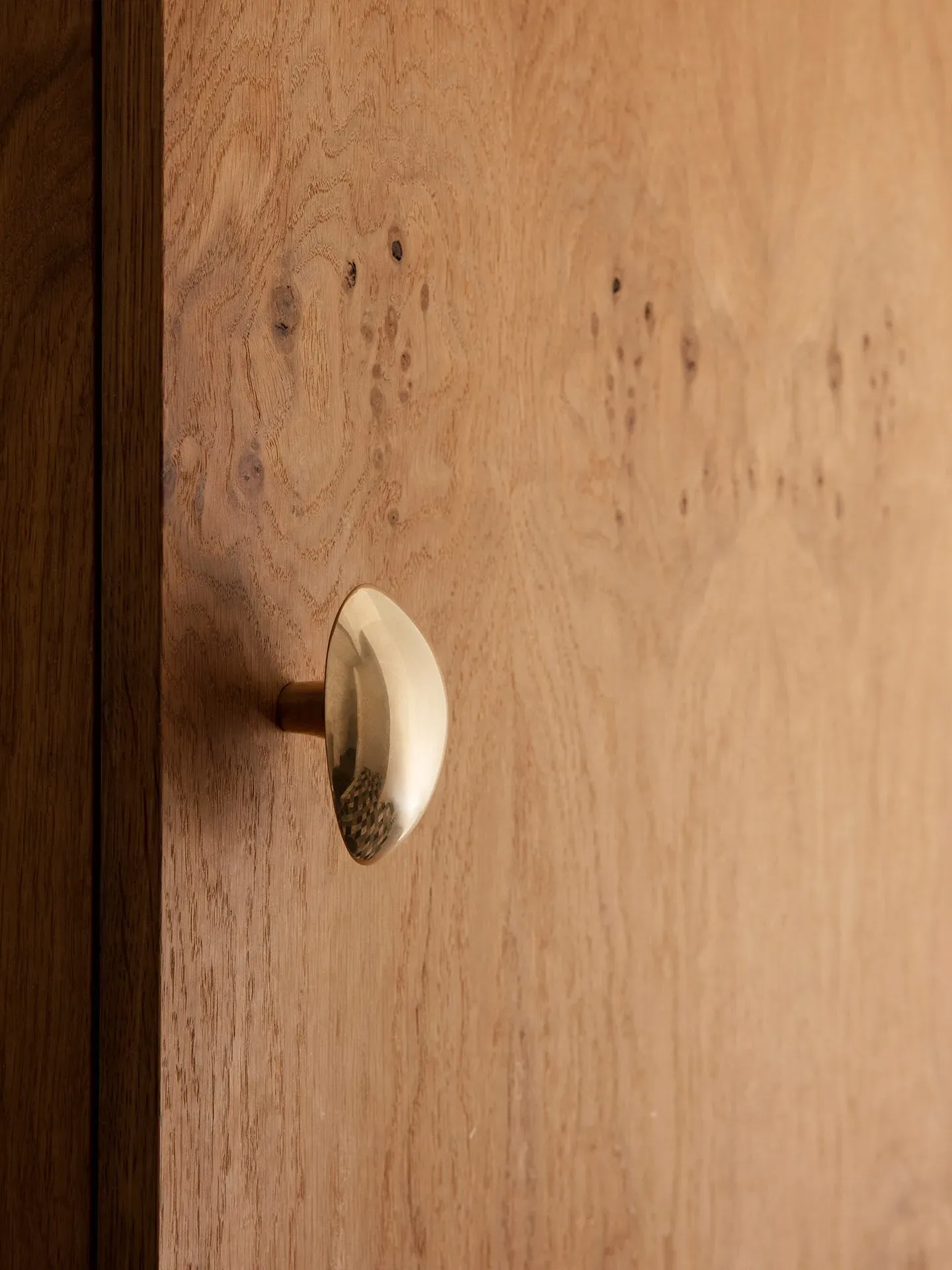 Chanterelle Hook - Brass