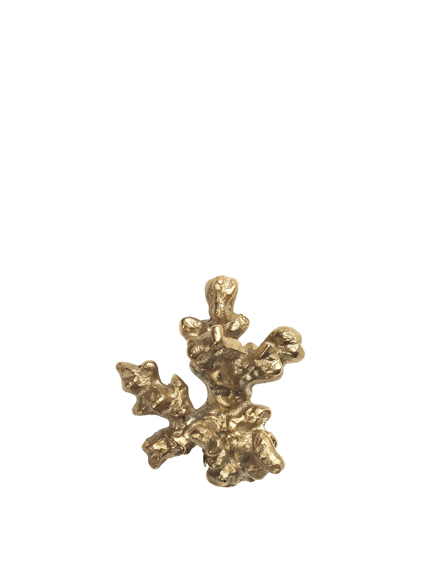 Comber Coral Branch Hook - Brass image