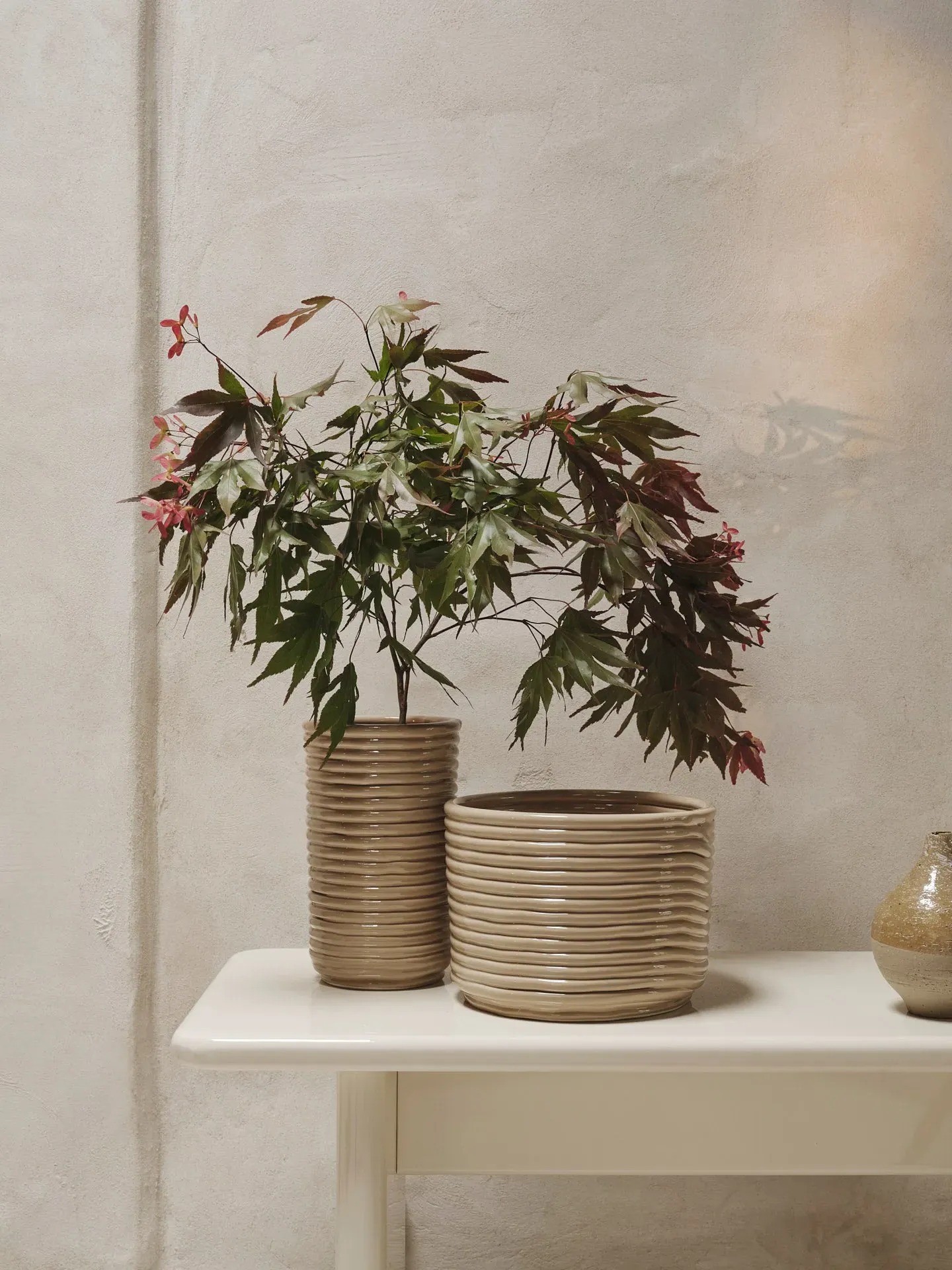 Corduroy Pot - Cashmere, Ceramic