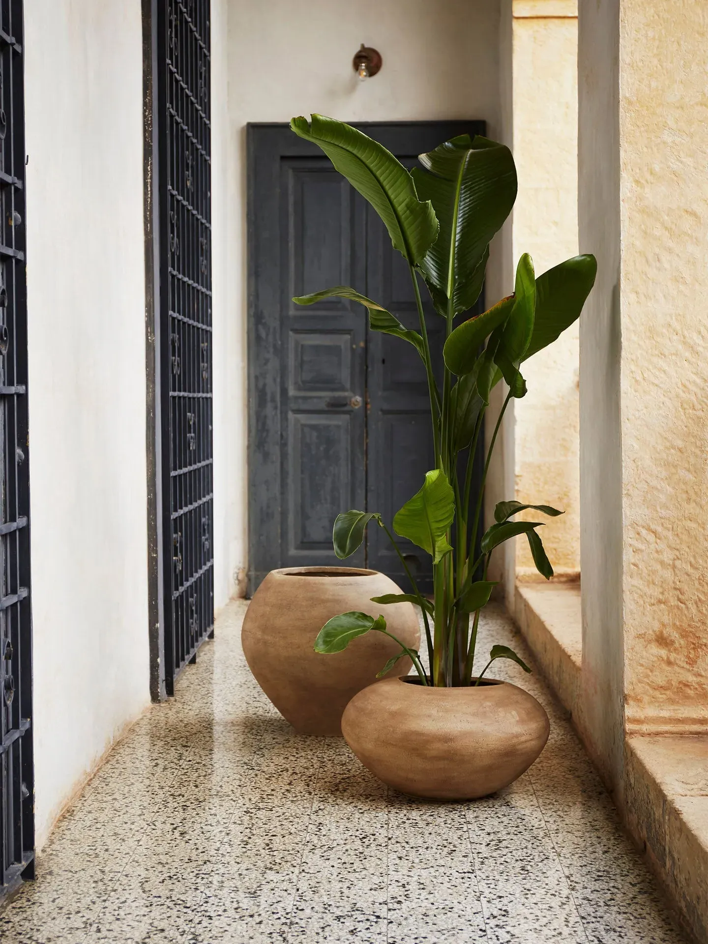Dodu Tall Plant Pot - Brown, Cement