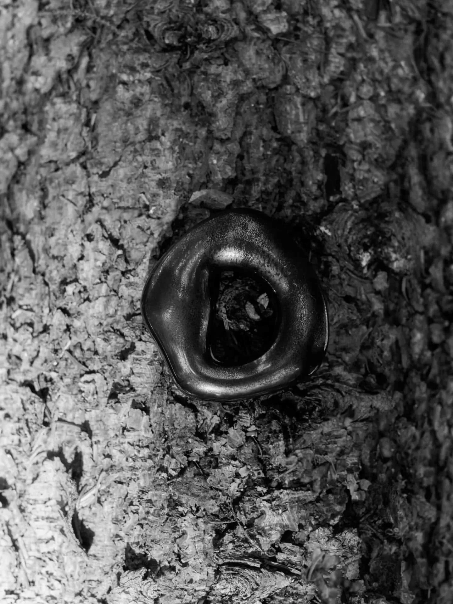 Orrith Ornaments Set of 2 - Rustic Bronze