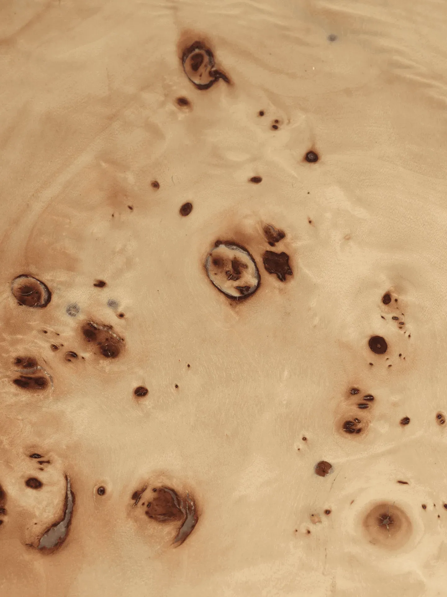 Post Small Round Coffee Table - Poplar Burl Veneer