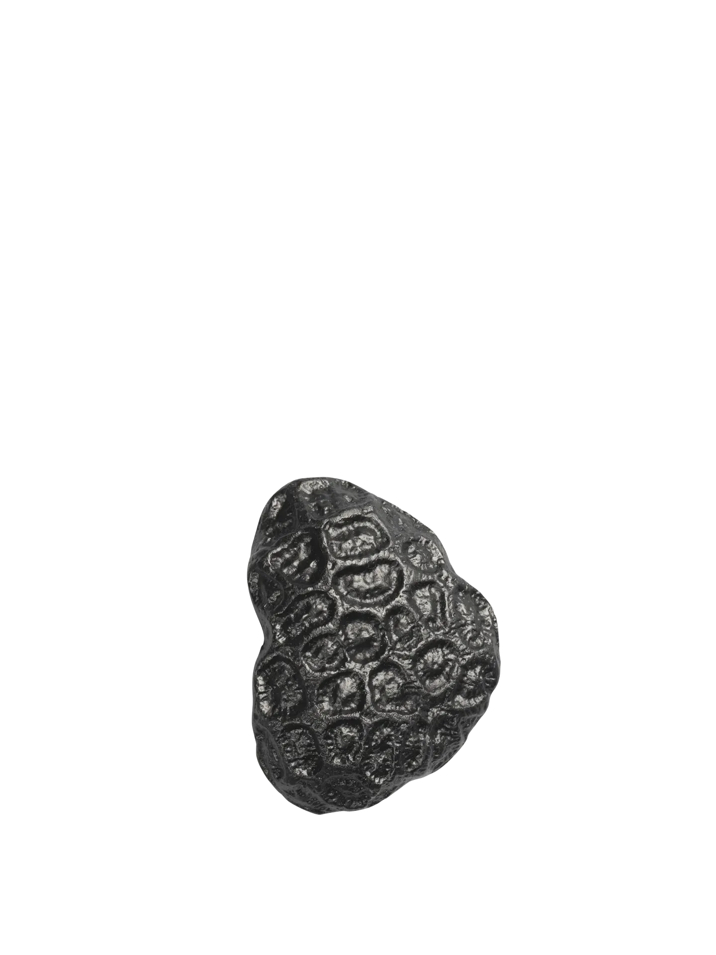 Comber Coral Hook - Blackened Aluminium product