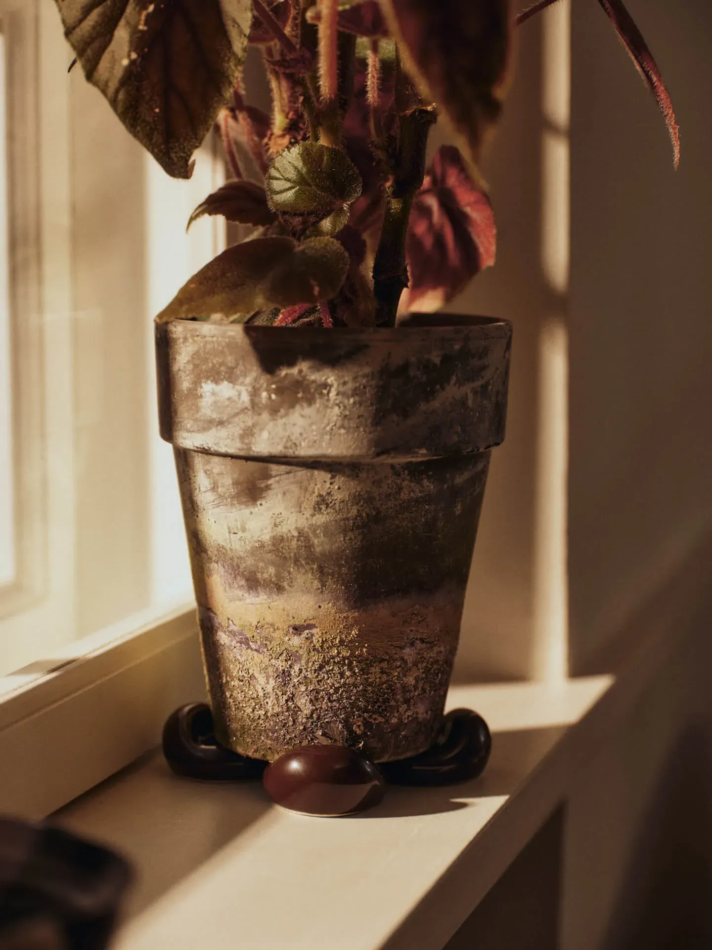 Nube Planter Feet Set of 4 - Carob Brown alternate view