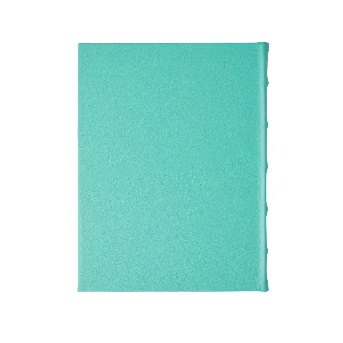 Fortnum's Leather Photograph Album - Eau de Nil product