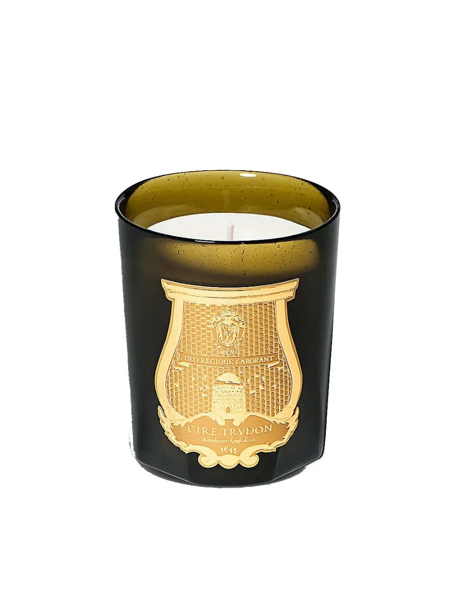 Cire Trudon Ernesto Scented Candle - 270g product