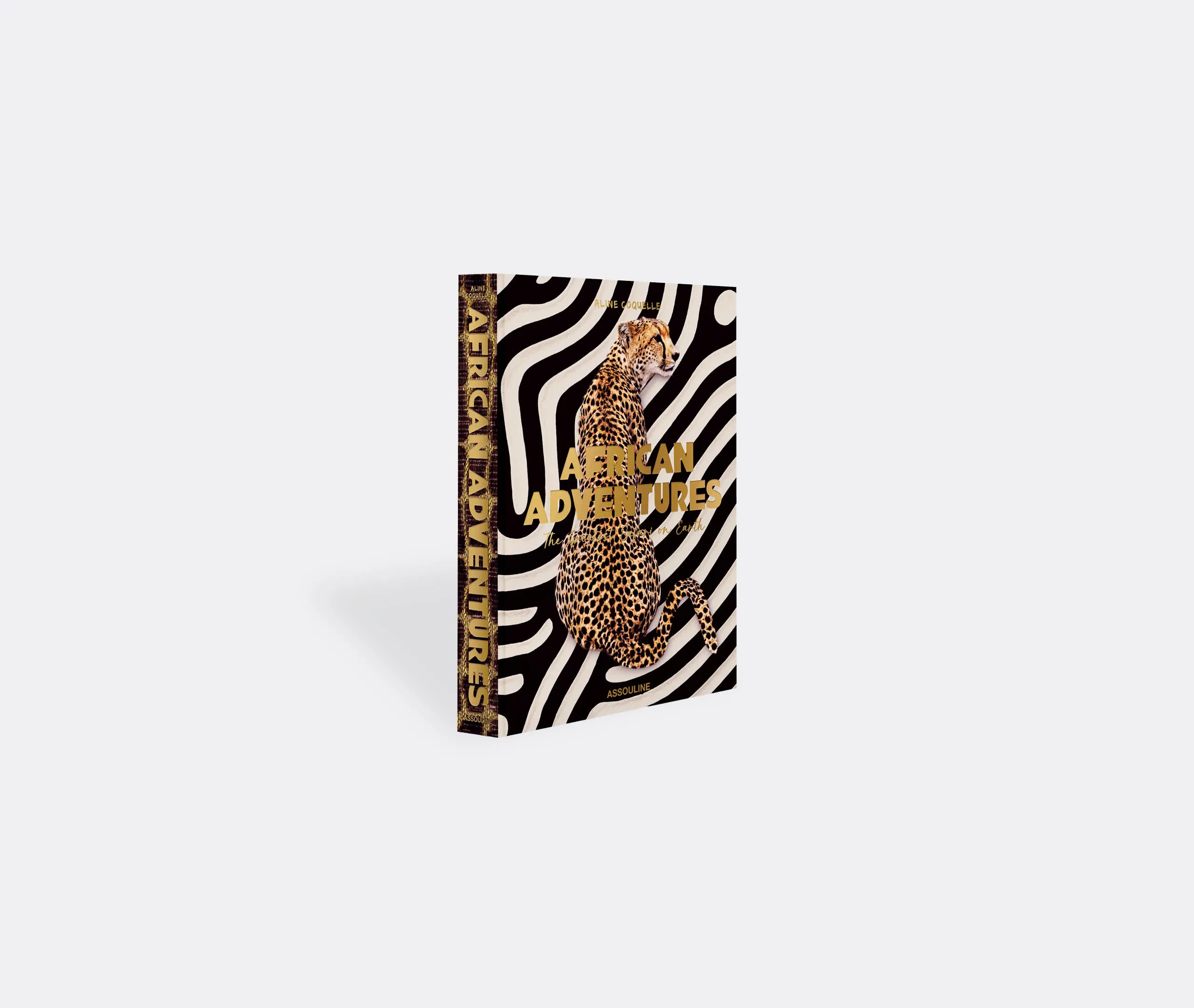 African Adventures Book - Multicolour alternate view